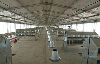 chicken house equipment