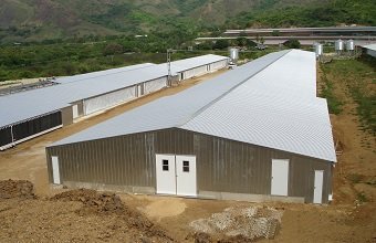 metal frame poultry house