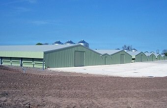 steel structure chicken house